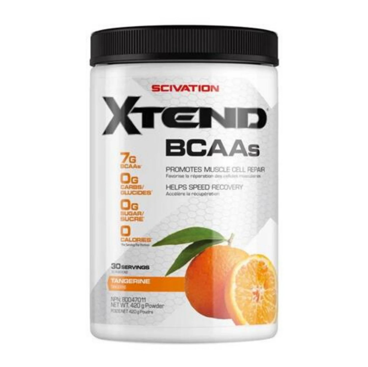 Scivation XTend 30 serve