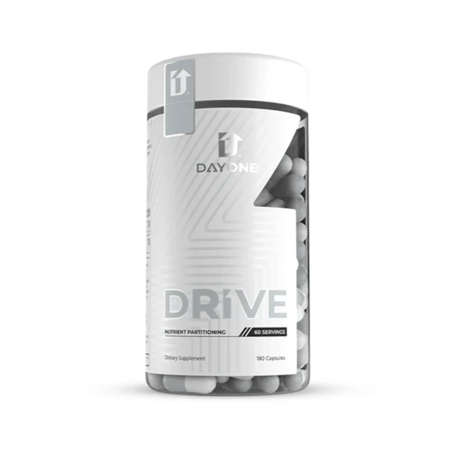 Day One Drive