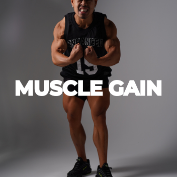 Muscle Gain
