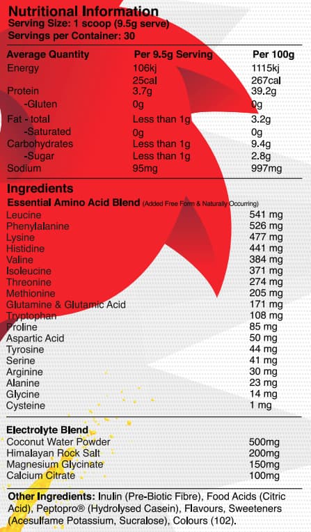 Red Dragon Nutritionals Dragon Fuel 90 serve